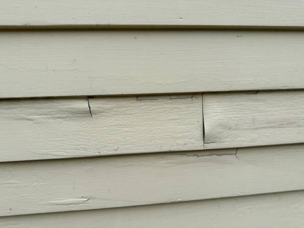 Reliable Santa Clarita, CA Siding Services Solutions